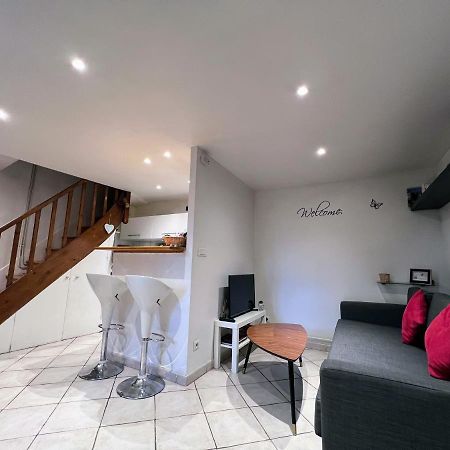 "La Petite Maison" Sainte-Foy-lès-Lyon Eksteriør billede
