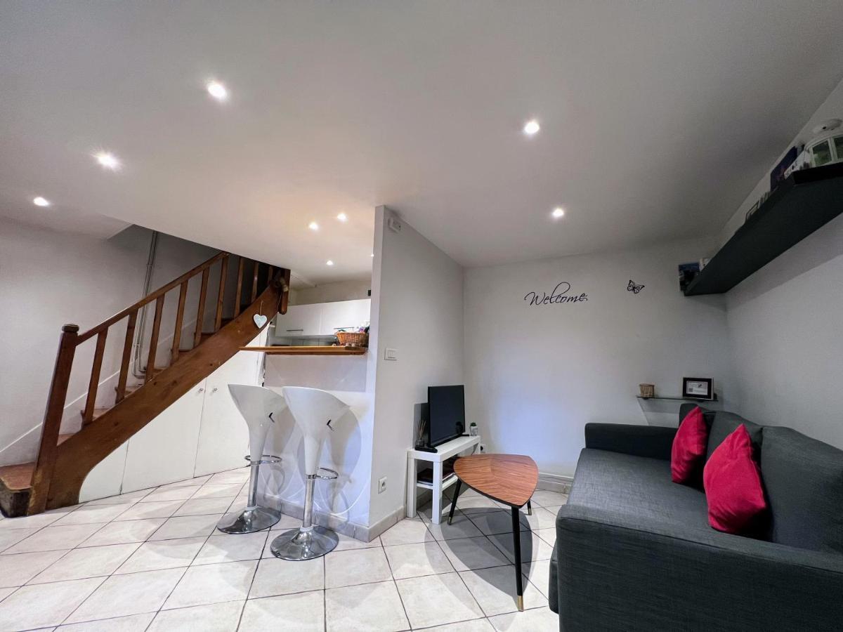 "La Petite Maison" Sainte-Foy-lès-Lyon Eksteriør billede